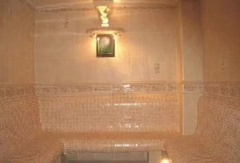 هتل Ambasador Chojny