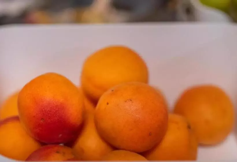 酒店 Bed & Breakfast Eckwirt