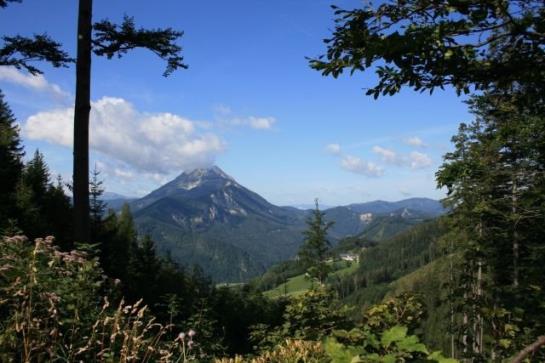 Hotel Brandalm Huette