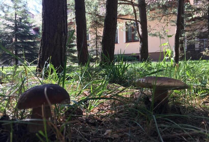 בית מלון כפרי Dworek Tryumf