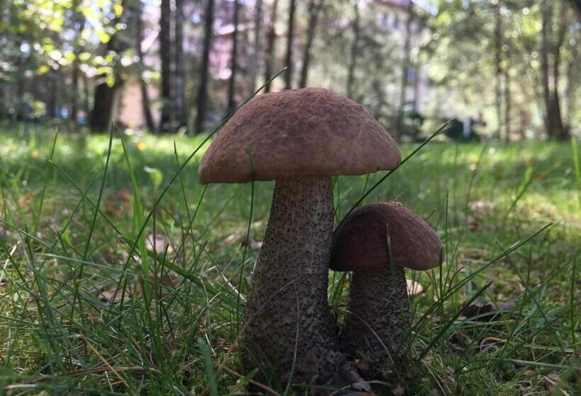 בית מלון כפרי Dworek Tryumf