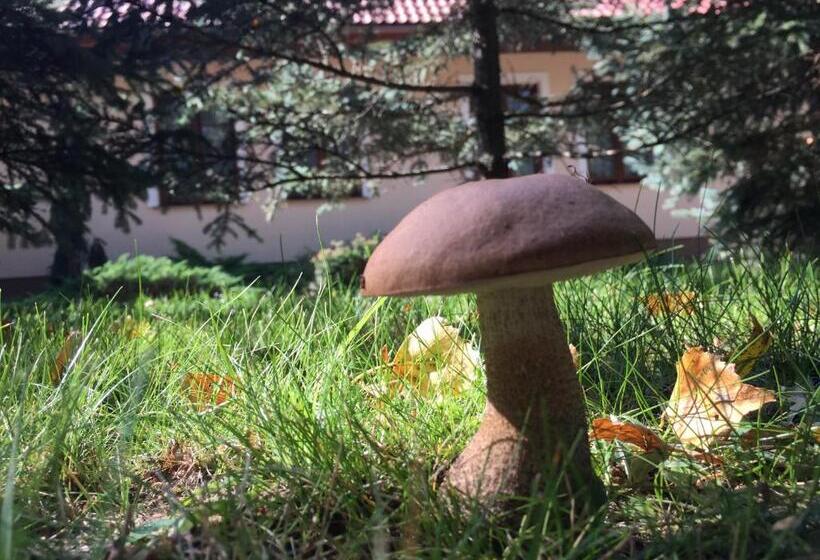 בית מלון כפרי Dworek Tryumf