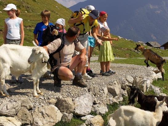 Bed and Breakfast Waldpension Putz