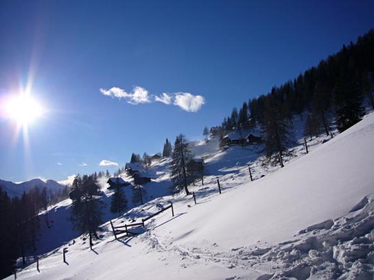 Bed and Breakfast Waldpension Putz