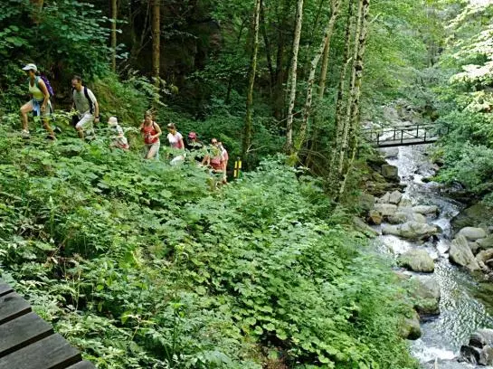 住宿加早餐  Waldpension Putz