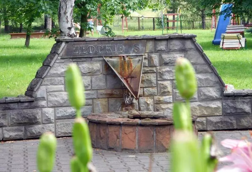 Отель Geovita Muszyna