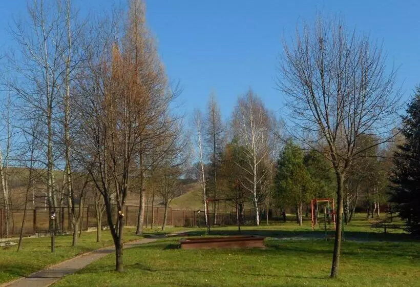 Отель Geovita Muszyna