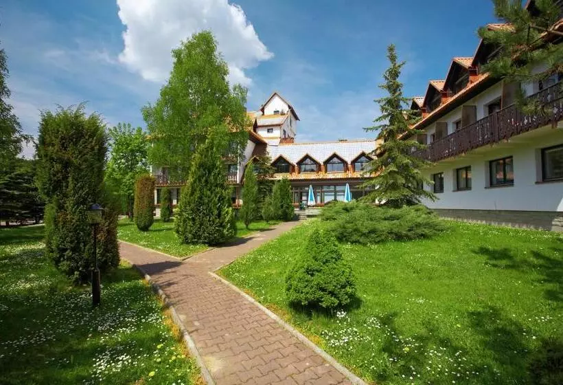 Отель Geovita Muszyna