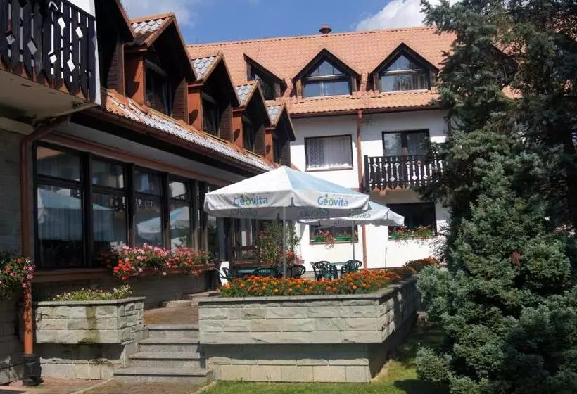 Отель Geovita Muszyna