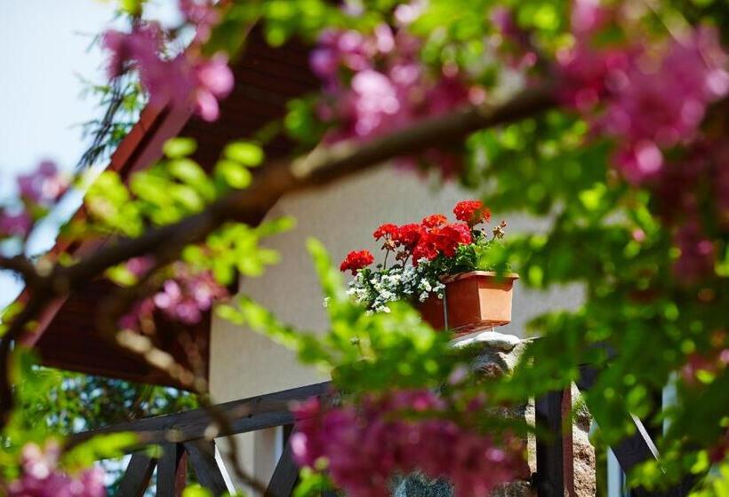 בית מלון כפרי Kormoran Medispa