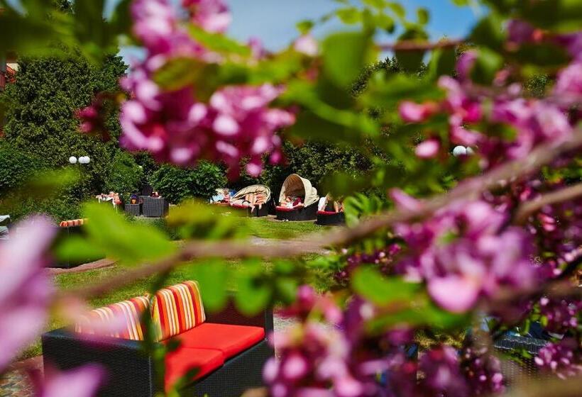 בית מלון כפרי Kormoran Medispa