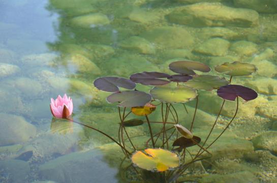 בית מלון כפרי Garni Kranzbichlhof