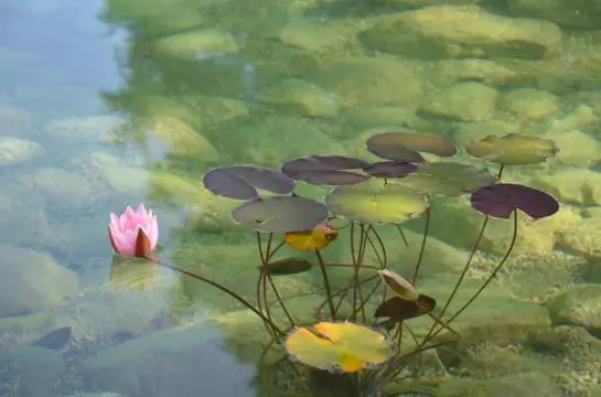 酒店 Garni Kranzbichlhof