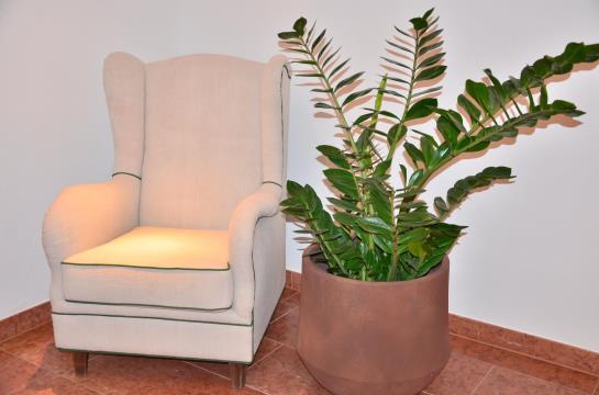 בית מלון כפרי Garni Kranzbichlhof