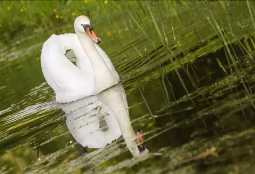 酒店 Pałac Romantyczny