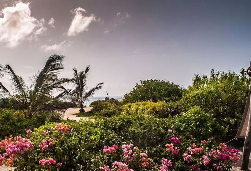 هتل The Charming Lonno Lodge Watamu