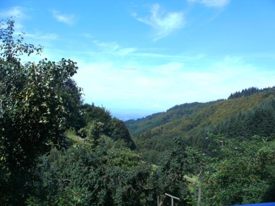 בית מלון כפרי Wandersruh