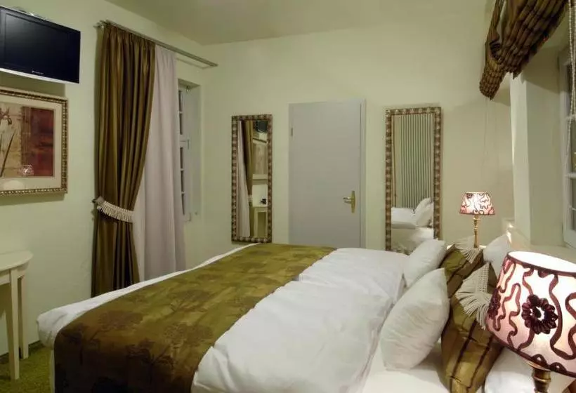 호텔 Zur Goldenen Krone