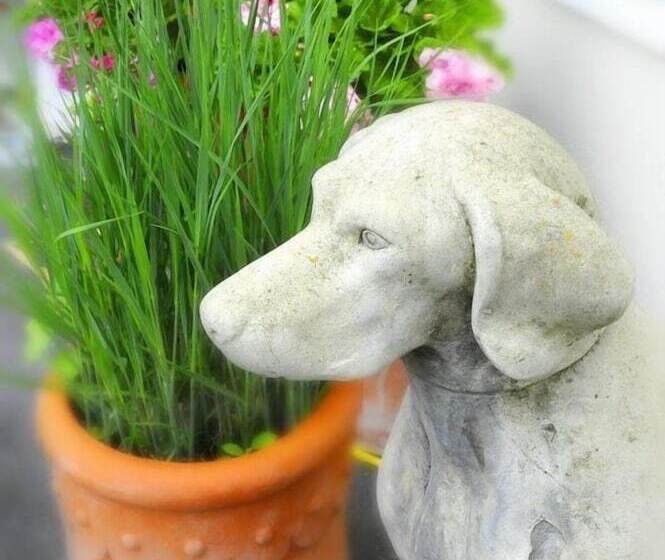 Пансион Schlossgasthof