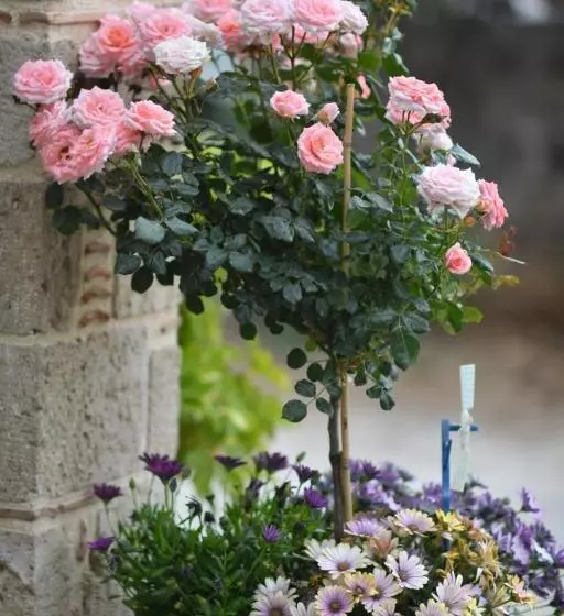 Majatalo Tassos Rooms