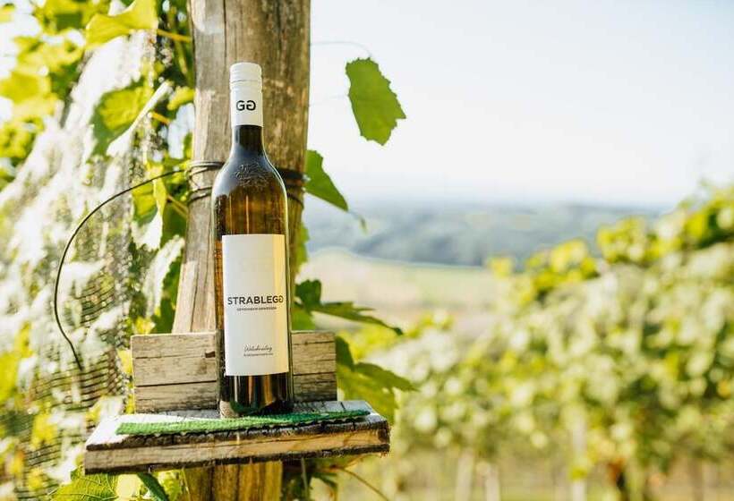 ペンション Winzerhof Strablegg