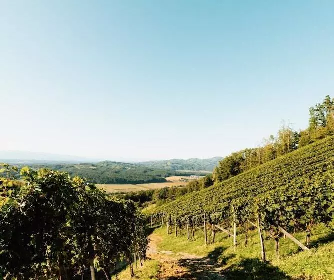 ペンション Winzerhof Strablegg