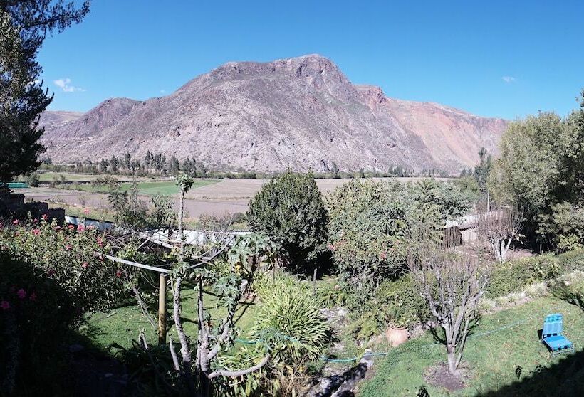 هاستل Casita Chimpay