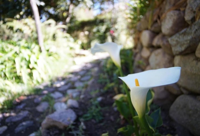 هاستل Casita Chimpay