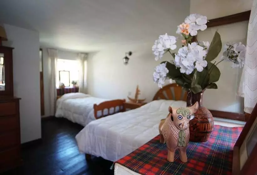 هاستل Casita Chimpay