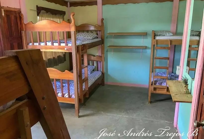 Aamiaismajoitus (B&B) Cabinas Manawada