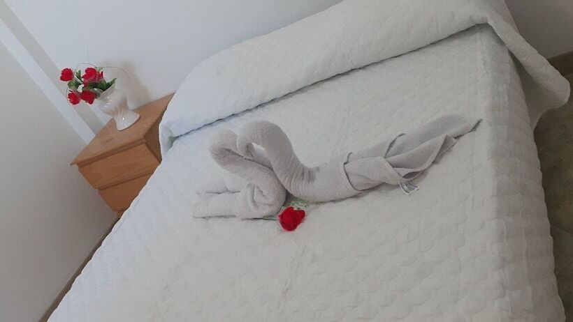 مسافرخانه Backpakers Oasis De Moron