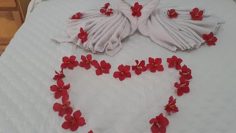 مسافرخانه Backpakers Oasis De Moron