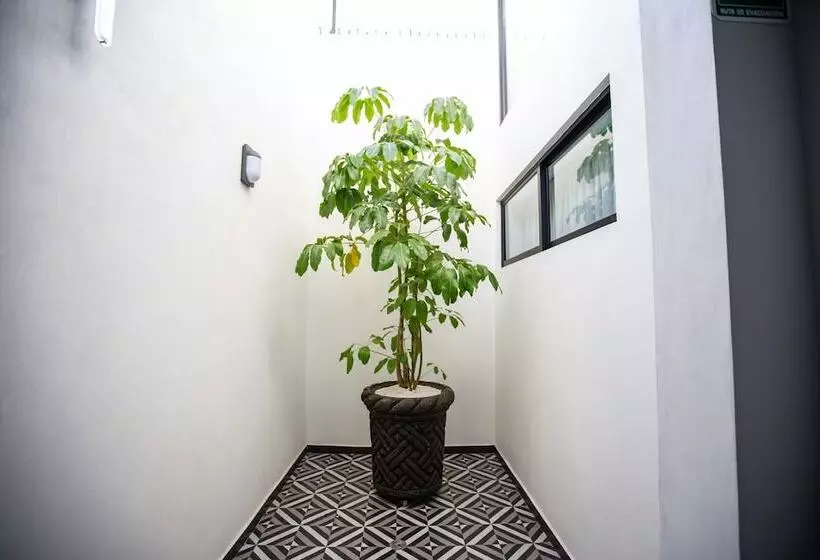 Hotelli Esfera Tulancingo