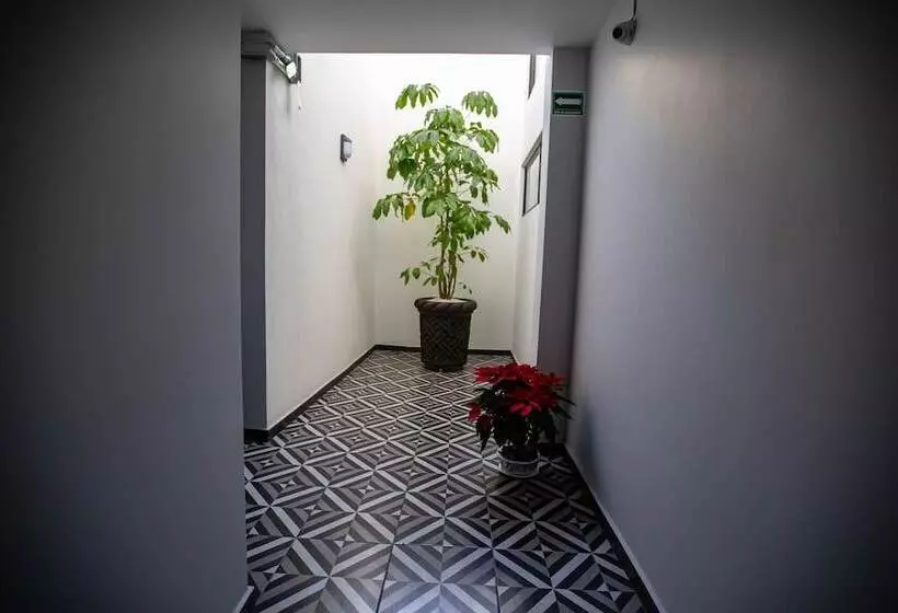 Hotelli Esfera Tulancingo