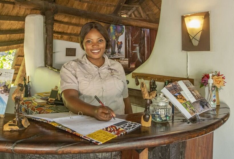 هتل Pioneer Lodge Camp And Safaris