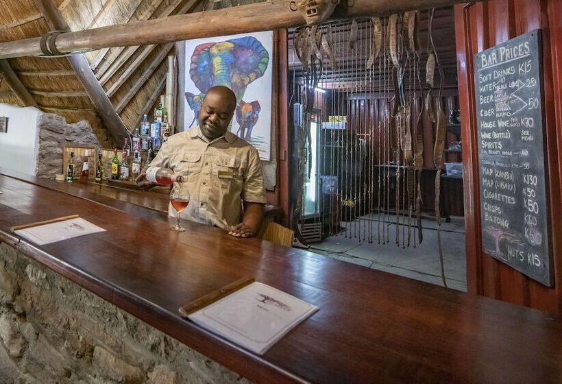 هتل Pioneer Lodge Camp And Safaris