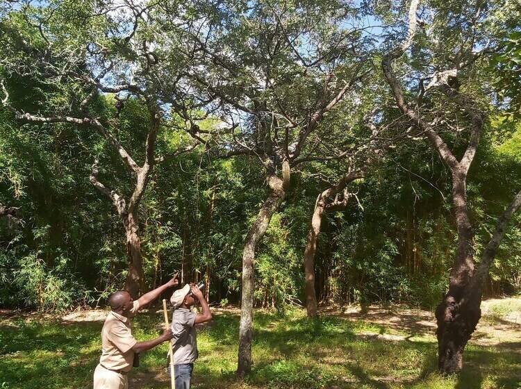 هتل Pioneer Lodge Camp And Safaris