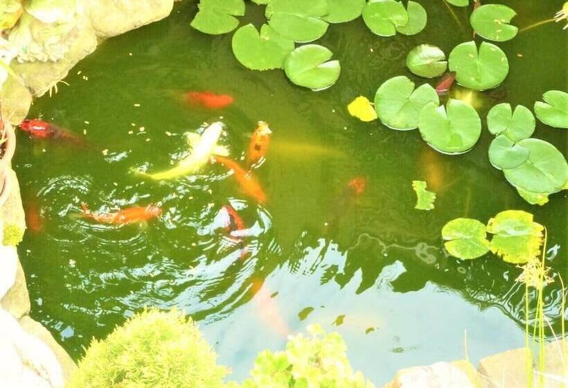 בית מלון כפרי Villa Vera