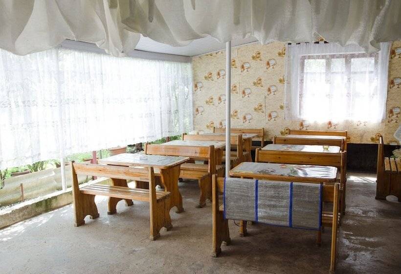 بنسيون Dzhuv   House