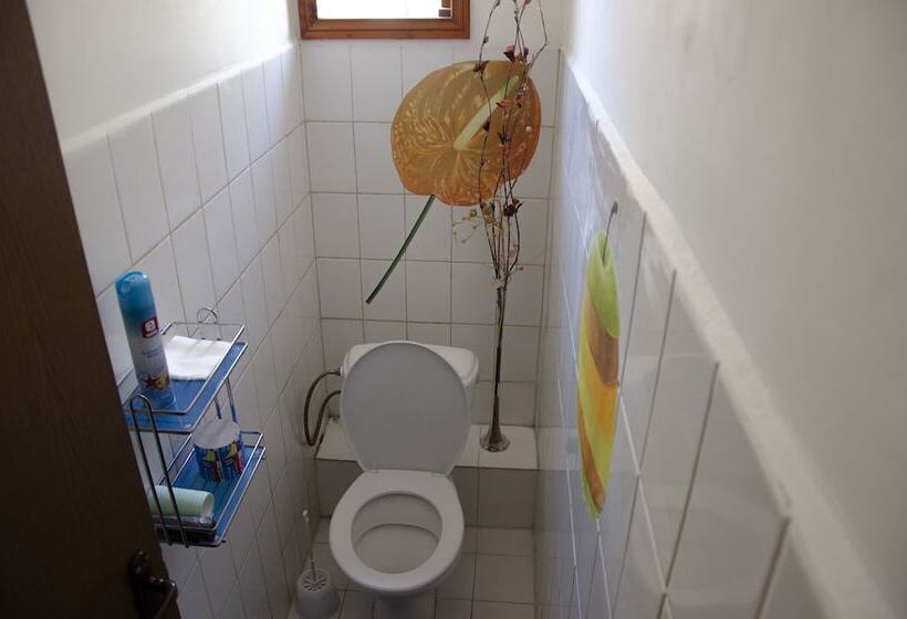 بنسيون Dzhuv   House