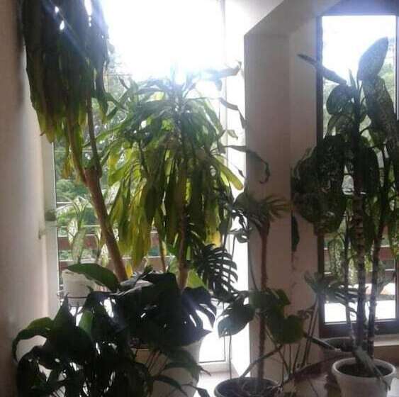 بنسيون Guest House Villa Nadezhda