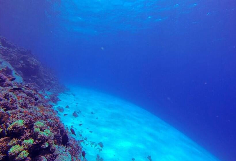 هتل El Primo Dahab