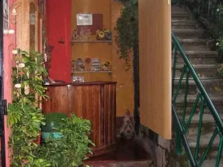 هتل Hospedaje Los Jardines