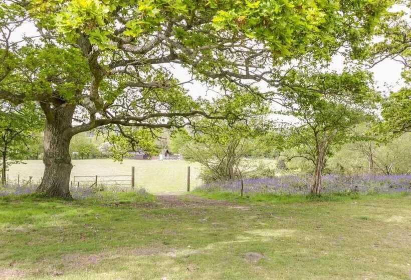 Pheasant Lodge At Chapel Lodges