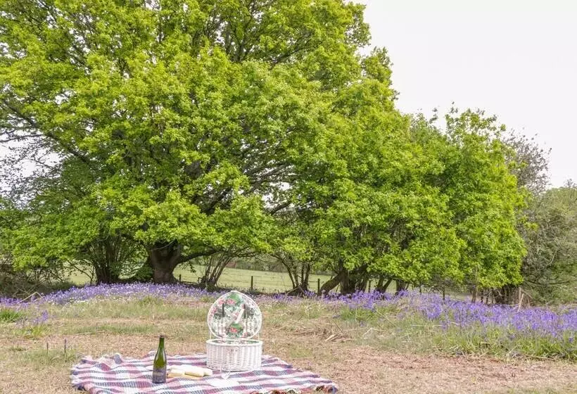 Pheasant Lodge At Chapel Lodges