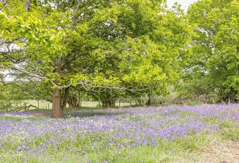 Pheasant Lodge At Chapel Lodges