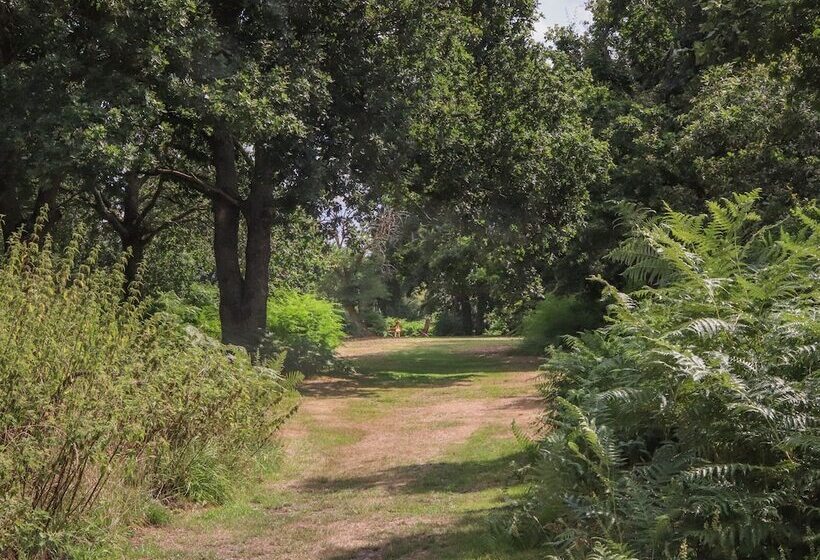Pheasant Lodge At Chapel Lodges