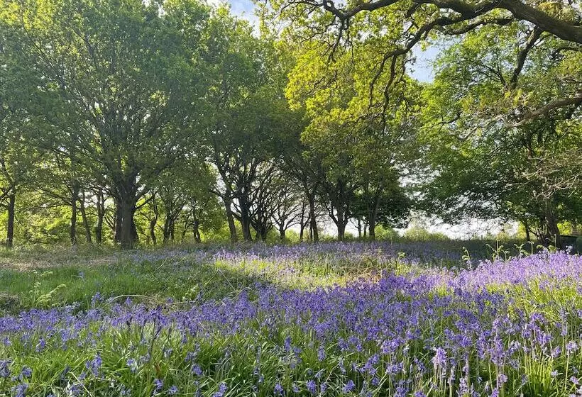 Pheasant Lodge At Chapel Lodges