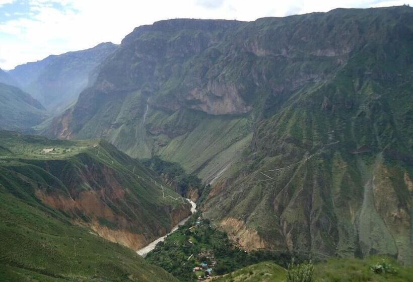 هاستل Paraiso Las Palmeras Lodge