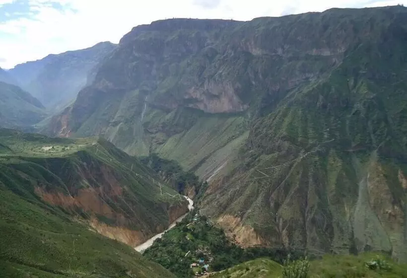 ユースホステル Paraiso Las Palmeras Lodge